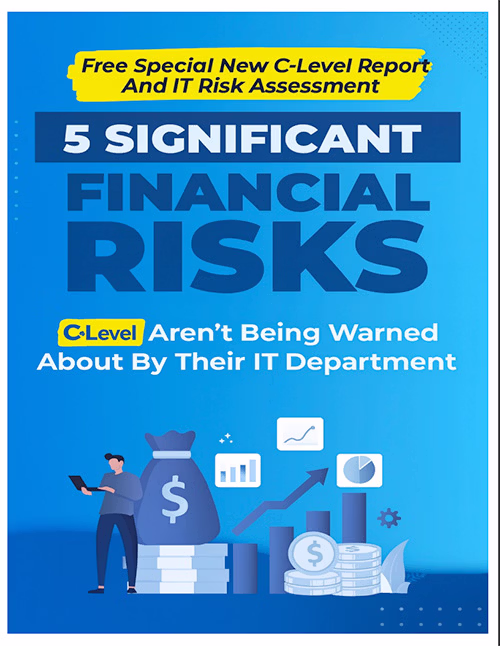 5 Significant Financial Risks E Book